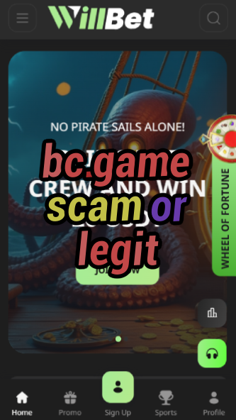 BC.Game Scam or Legit: Find Out Here-vz72fvrf.com