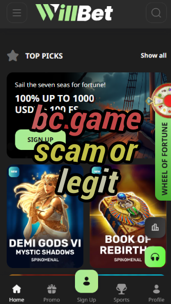 BC.Game Scam or Legit: Find Out Here-vz72fvrf.com