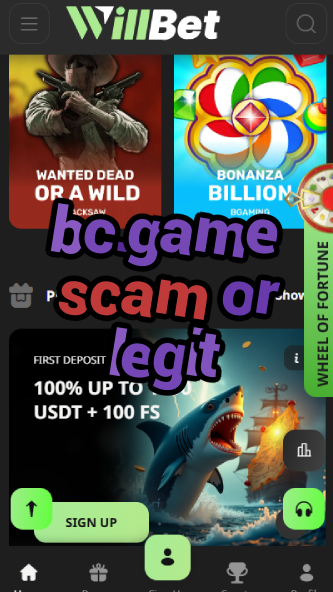 BC.Game Scam or Legit: Find Out Here-vz72fvrf.com