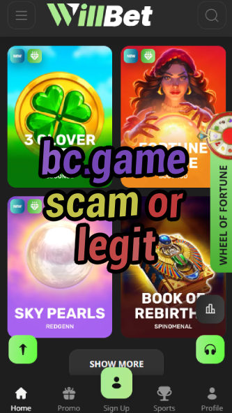 BC.Game Scam or Legit: Find Out Here-vz72fvrf.com